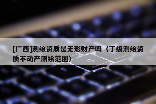 [广西]测绘资质是无形财产吗（丁级测绘资质不动产测绘范围）
