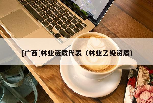 [广西]林业资质代表（林业乙级资质）