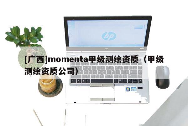 [广西]momenta甲级测绘资质（甲级测绘资质公司）
