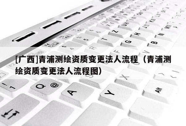 [广西]青浦测绘资质变更法人流程（青浦测绘资质变更法人流程图）