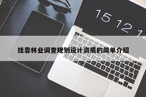 挂靠林业调查规划设计资质的简单介绍