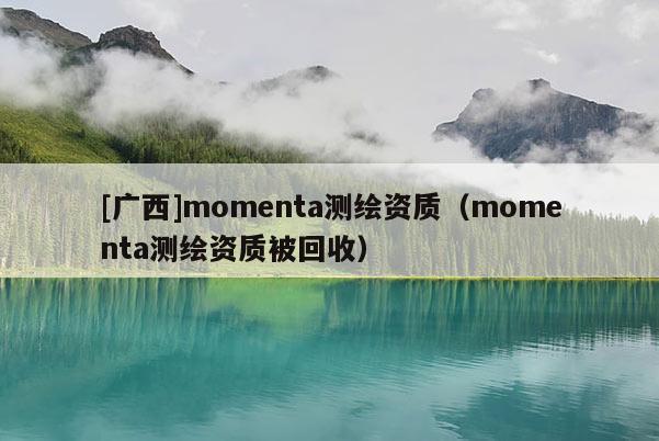 [广西]momenta测绘资质（momenta测绘资质被回收）