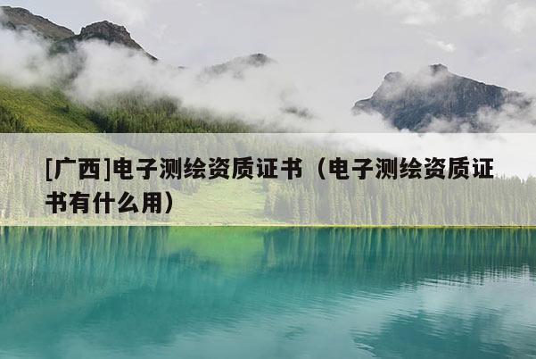 [广西]电子测绘资质证书（电子测绘资质证书有什么用）