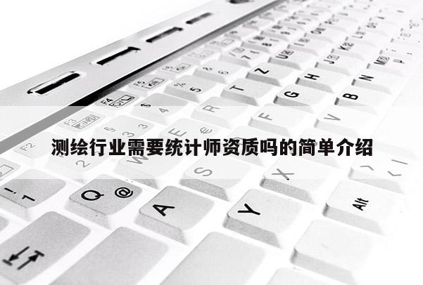 测绘行业需要统计师资质吗的简单介绍