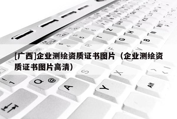 [广西]企业测绘资质证书图片（企业测绘资质证书图片高清）