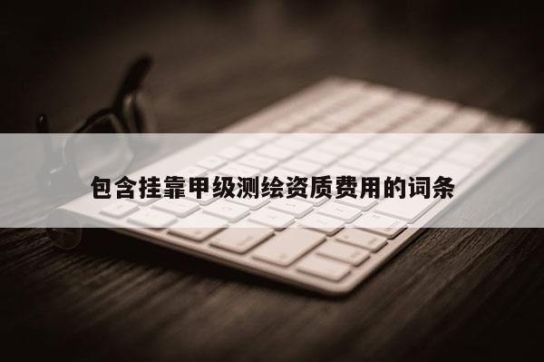 包含挂靠甲级测绘资质费用的词条