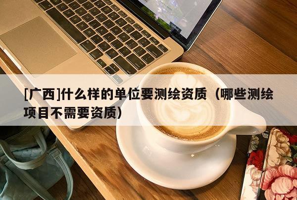 [广西]什么样的单位要测绘资质（哪些测绘项目不需要资质）