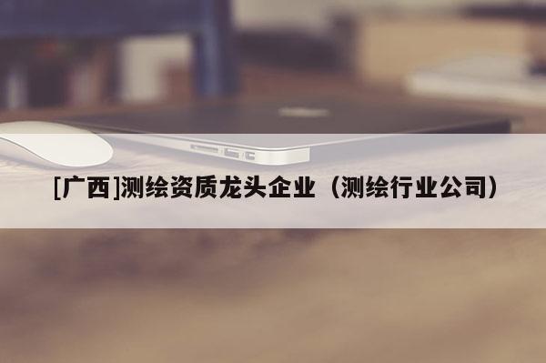 [广西]测绘资质龙头企业（测绘行业公司）