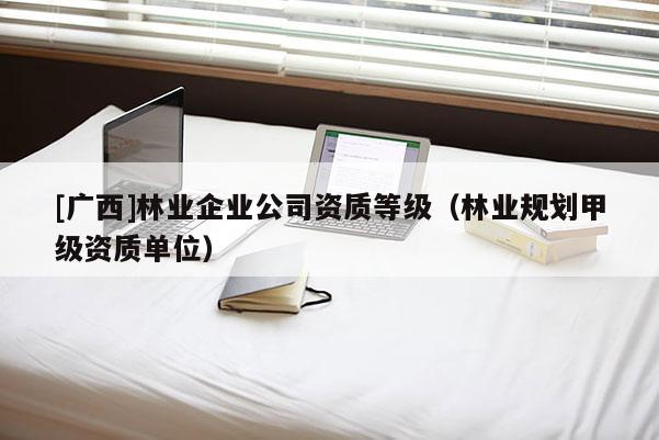 [广西]林业企业公司资质等级（林业规划甲级资质单位）