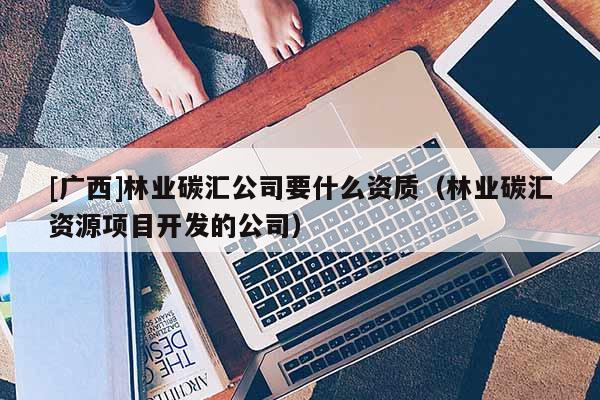 [广西]林业碳汇公司要什么资质（林业碳汇资源项目开发的公司）