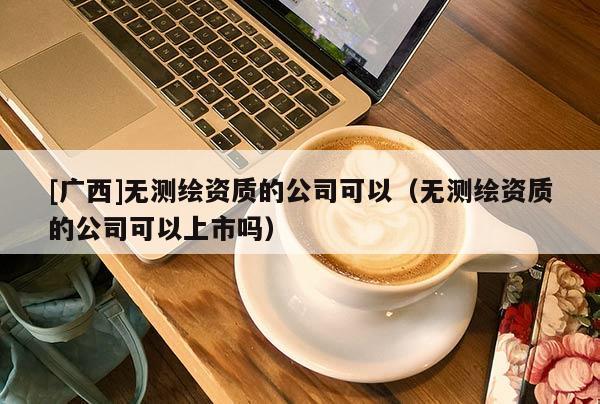 [广西]无测绘资质的公司可以（无测绘资质的公司可以上市吗）