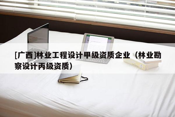 [广西]林业工程设计甲级资质企业（林业勘察设计丙级资质）