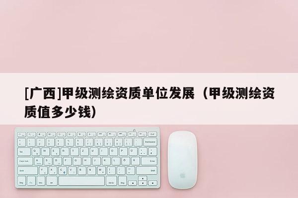 [广西]甲级测绘资质单位发展（甲级测绘资质值多少钱）