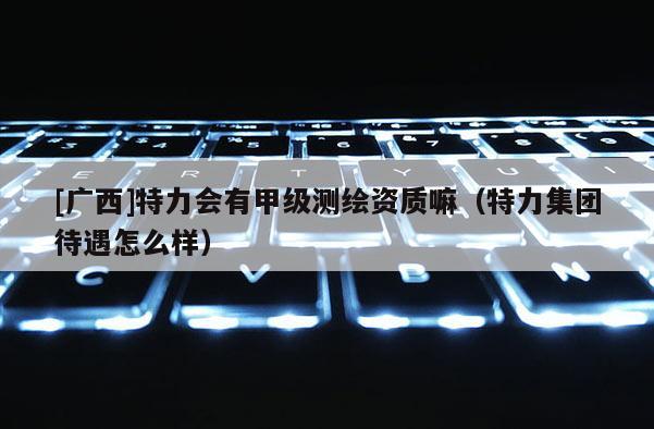 [广西]特力会有甲级测绘资质嘛（特力集团待遇怎么样）