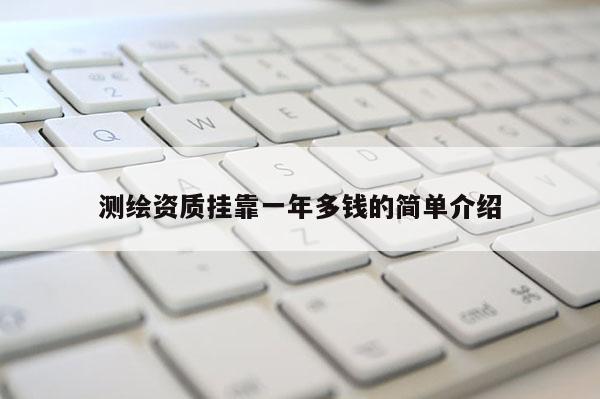 测绘资质挂靠一年多钱的简单介绍