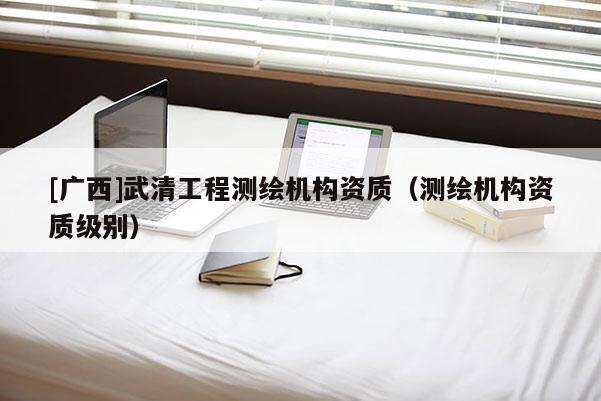 [广西]武清工程测绘机构资质（测绘机构资质级别）