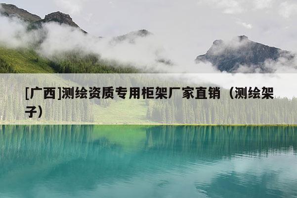 [广西]测绘资质专用柜架厂家直销（测绘架子）