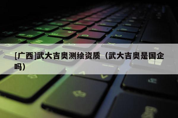 [广西]武大吉奥测绘资质（武大吉奥是国企吗）