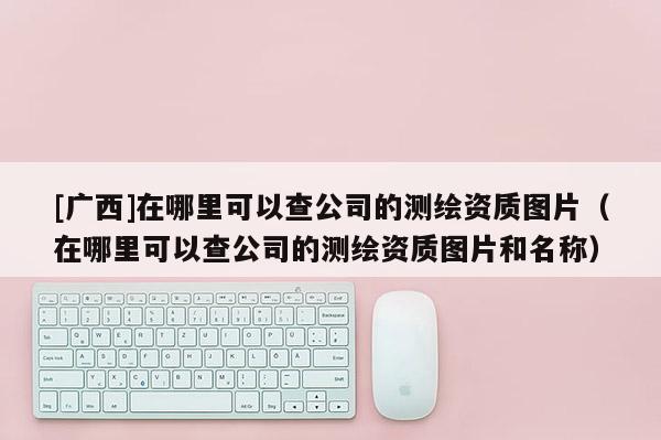 [广西]在哪里可以查公司的测绘资质图片（在哪里可以查公司的测绘资质图片和名称）