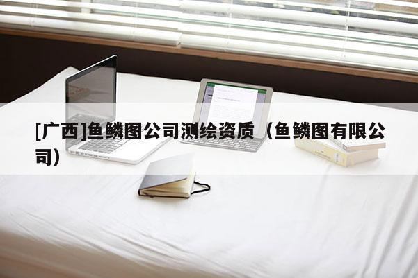 [广西]鱼鳞图公司测绘资质（鱼鳞图有限公司）